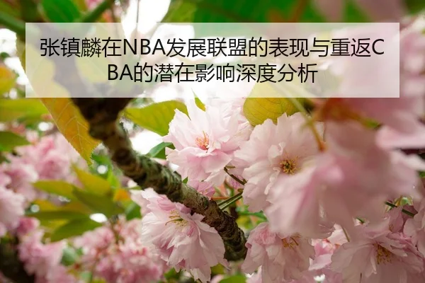 张镇麟在NBA发展联盟的表现与重返CBA的潜在影响深度分析